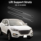 Hood Lift Supports Struts for Hyundai Entourage (2007-2010)