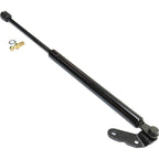 Lift Support for Toyota Celica (2000–2004) Driver and Passenger Side