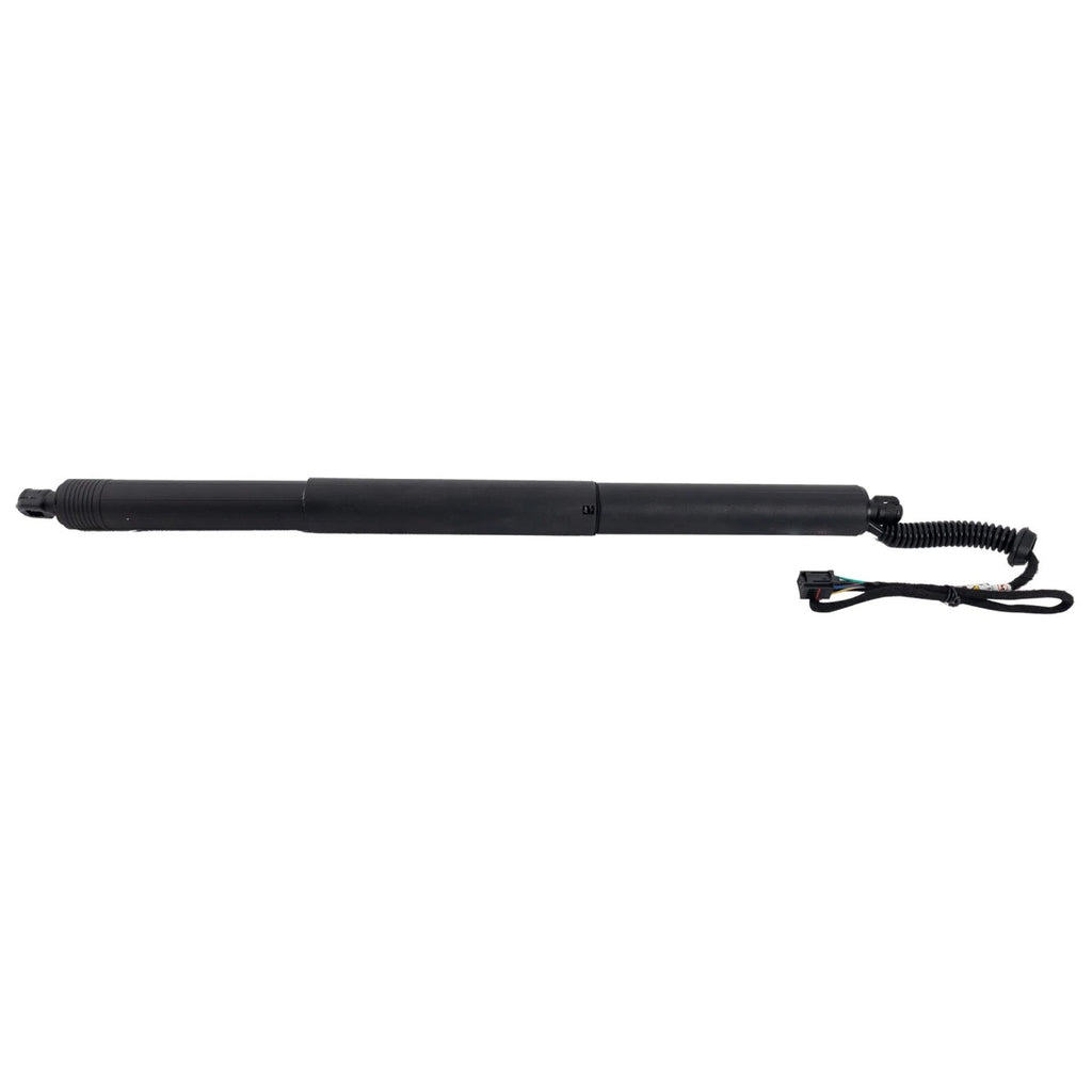 Liftgate Lift Supports Set of 2 for Audi Q3