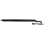 Liftgate Lift Supports Set of 2 for Audi Q3