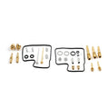 Carburetor Repair Kit for Honda Shadow 1100 VT1100C (1989-1994)