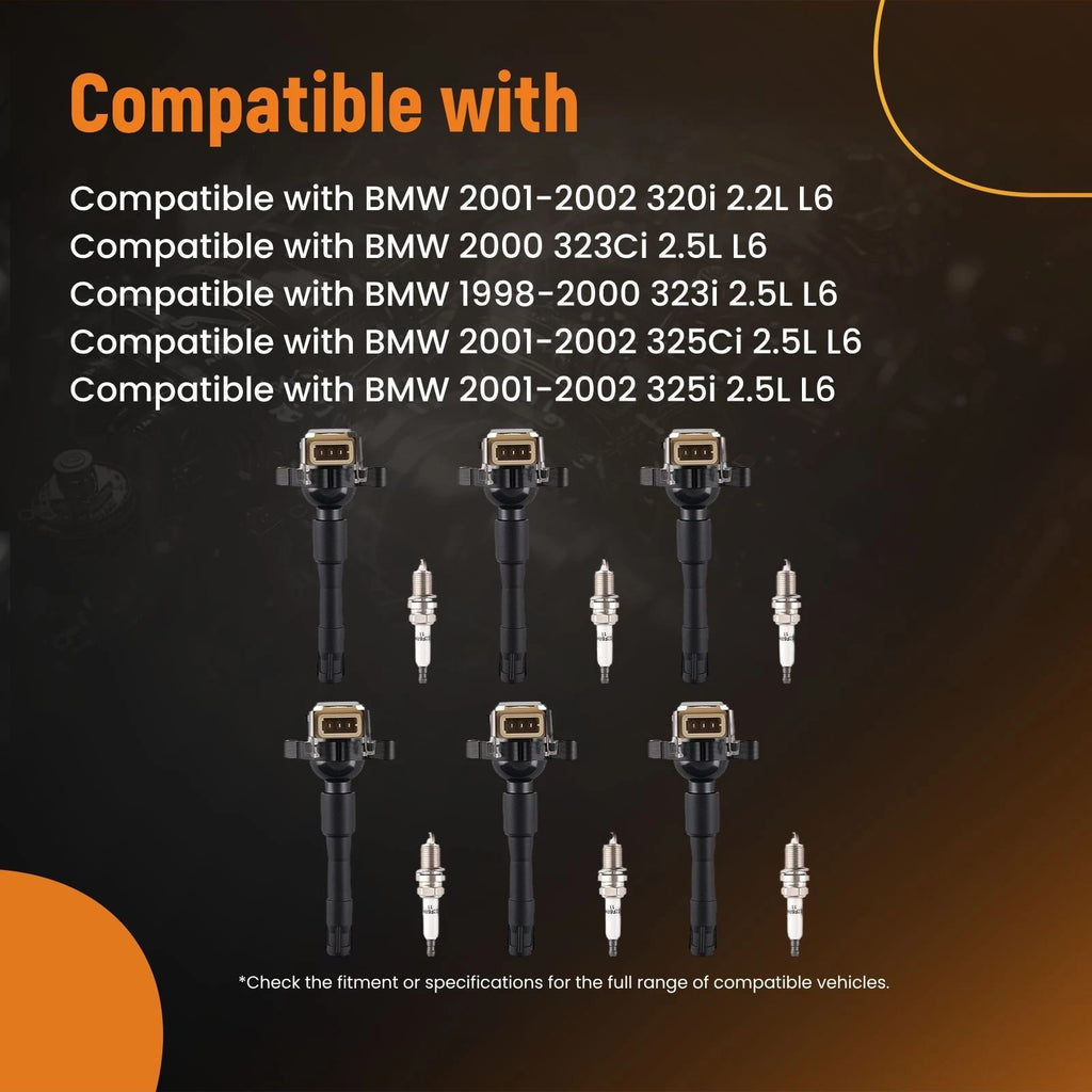 6x Ignition Coil & 6x Spark Plug Set for BMW 320i 323i 325i 328i 330i (1996–2002)