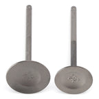 Intake & Exhaust Valves for Yamaha F200 F225 F250 (2000–2019)