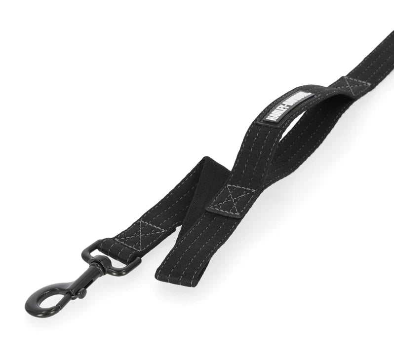 H-D Rubber Logo Patch Pet Leash for Harley-Davidson (72 Inch)