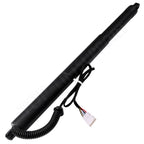2X Rear Liftgate Lift Supports for BMW X3 (2010–2017)