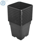 Set of 10 Reusable 2 Gallon Black Nursery Pots for Plants