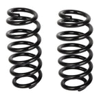 2X Rear Coil Springs for Toyota RAV4 (2006–2018)