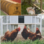 1" x 1" Welded Wire Fence for Chicken Rabbit Mesh (Vinyl Coated)