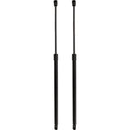 Set of 2 Hood Lift Supports for Buick Enclave