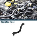 Radiator Hose for BMW 740Li (2013–2015) No. 11537605150 Rubber
