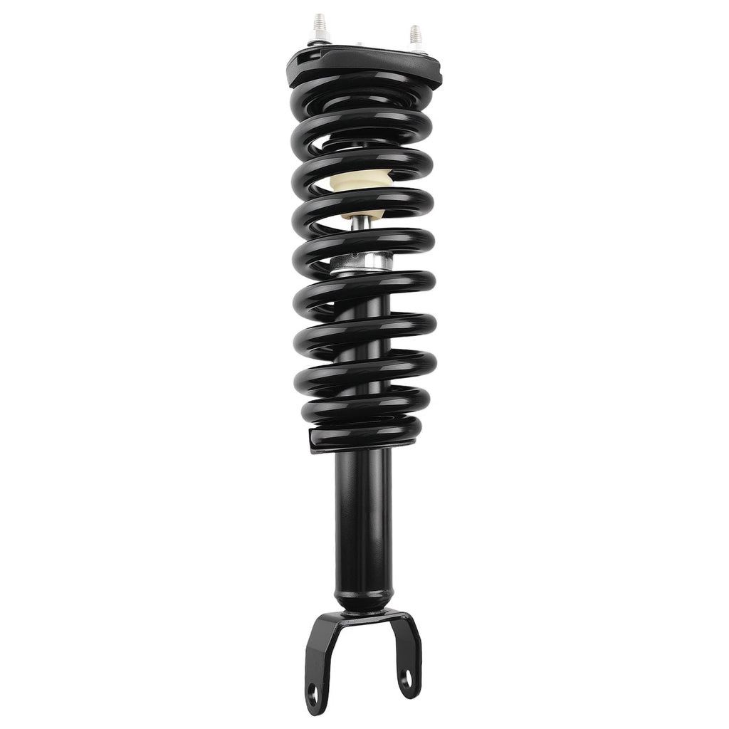 2X Front Complete Struts Coil Springs for Dodge Dakota (2005–2009) 171100