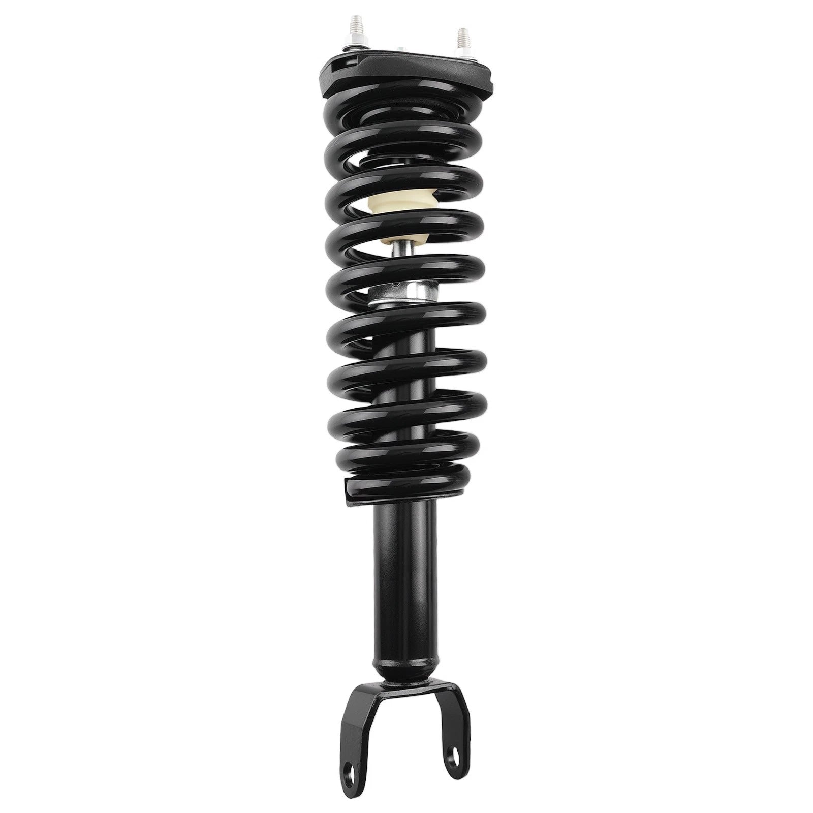 2X Front Complete Struts Coil Springs for Dodge Dakota (2005–2009) 171100