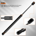 Set of 2 Trunk Lift Supports for Chevrolet Camaro Pontiac Firebird (Convertible)