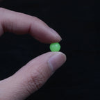 Float Bead Rig Attractor for