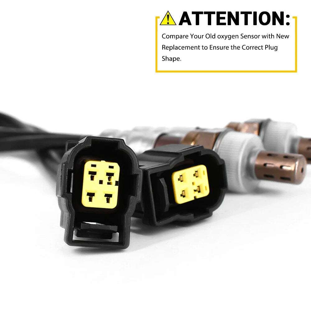 2X O2 Oxygen Sensor for Dodge Dakota (2001-2003)