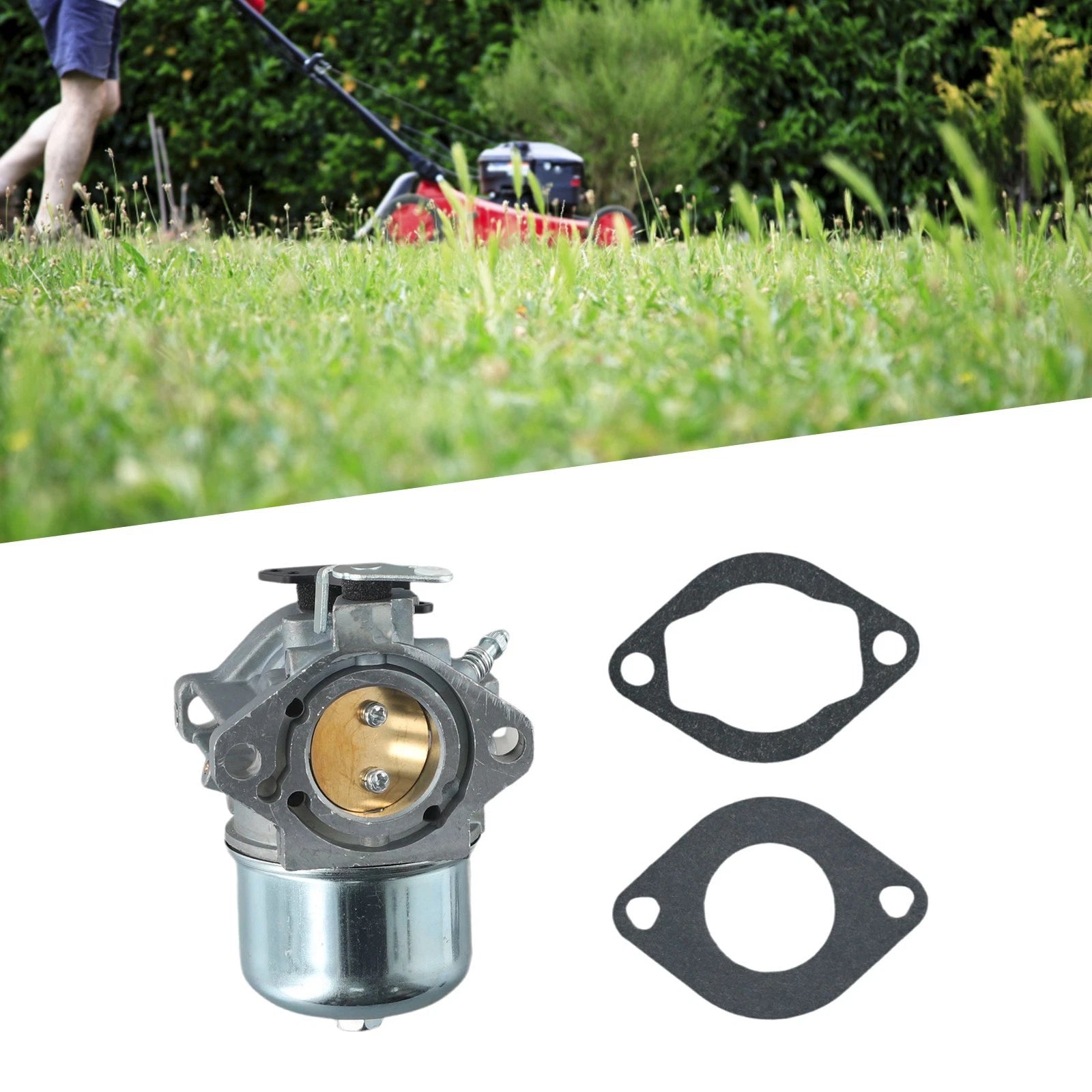 Carburetor Kit for Mower (799728, LMT 5-4993)