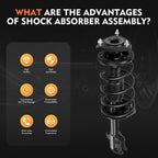 Front Struts with Spring Mounts & Shocks for Scion xB (2004-2006)