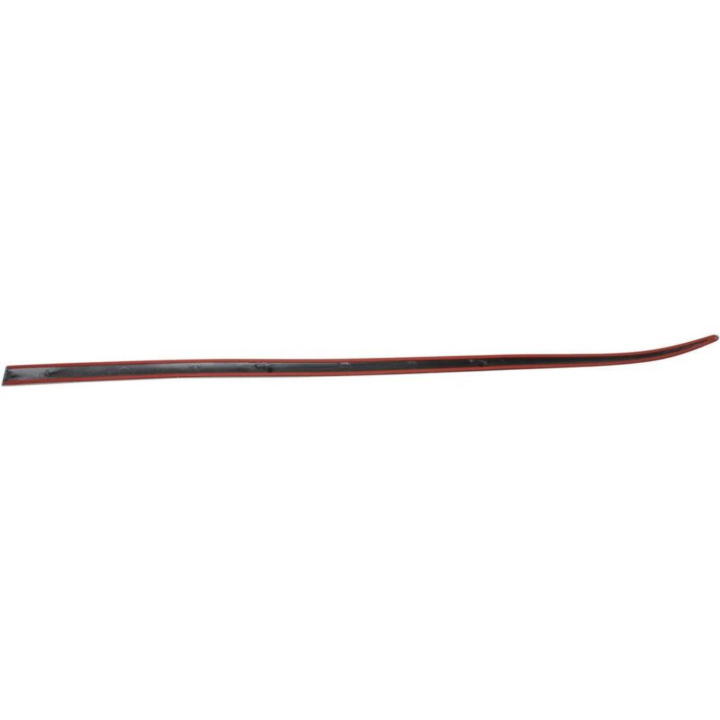 Door Molding for Dodge Grand Caravan (2002–2004) Front Driver Side