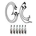 Denso Wire Set & 6 Double Platinum Spark Plugs for Ford Windstar (1995–2003)