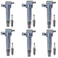 Set of 6 Ignition Coils & NGK Platinum Spark Plugs for Borrego Genesis (2009–2016)