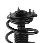 Front Struts w/ Coil Spring Assembly for Honda Accord EX LX-S SPORT (2013–2017)