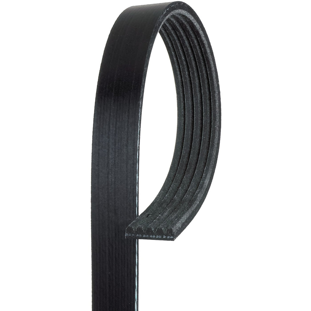 Serpentine Belt for Chevrolet Equinox, GMC G5 (2005–2009)