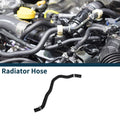 Radiator Hose for Hyundai Grandeur (2005–2010) No. 254111M000