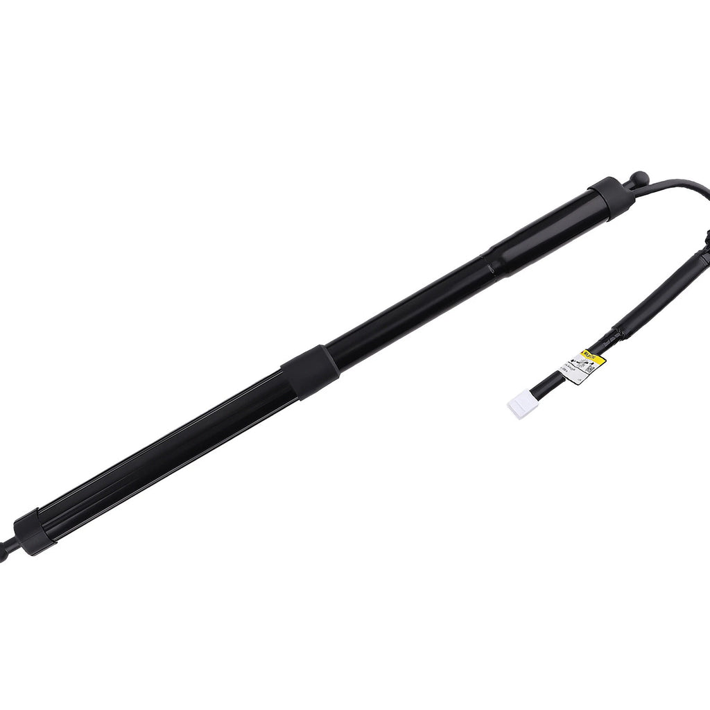 2X Rear Trunk Lift Support Strut for Toyota Highlander (2014-2019)