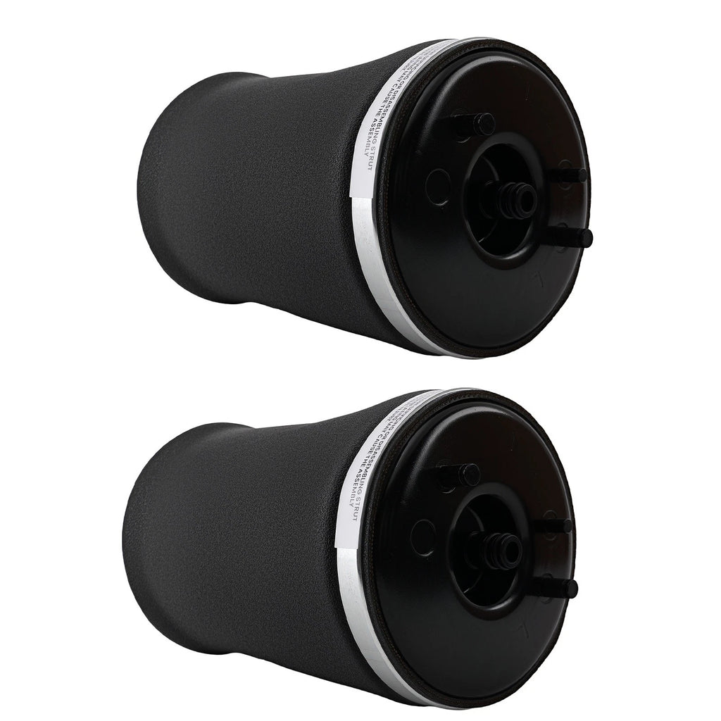 Set of 2 Rear Air Suspension Struts for BMW E53 X5 (2000-2006)
