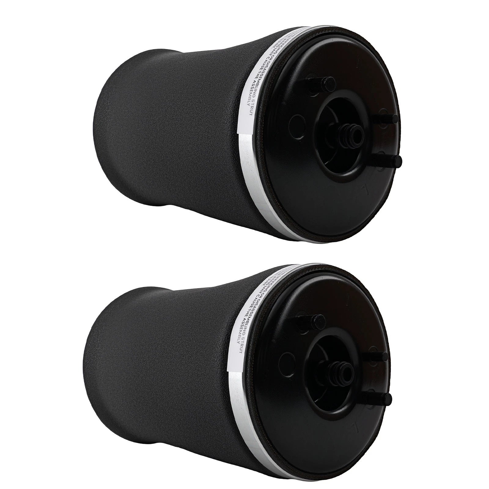 Set of 2 Rear Air Suspension Struts for BMW E53 X5 (2000-2006)