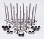 8x Intake & Exhaust Valves for Audi TT VW Eos Beetle Seat Exeo 2.0 TDI