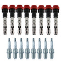 Set of 8 Ignition Coils & NGK Laser Platinum Spark Plugs for Touareg (2004–2010)
