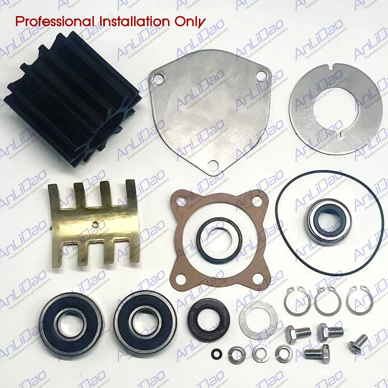 Minor Repair Kit for Sherwood Pumps P2701-01 P2701X P2702-01 P2703-01 P2704-01