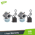 2X Carburetor for Briggs & Stratton (1974–1974)