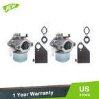 2X Carburetor for Briggs & Stratton (1974–1974)
