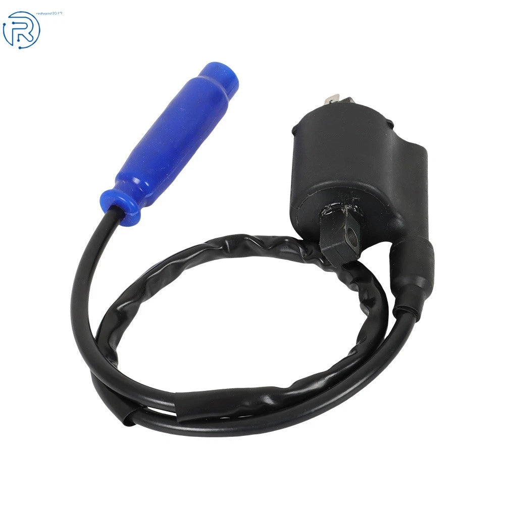 2X Ignition Coil Spark Plug for Kawasaki Teryx4 750 (2012-2013)