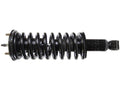 Front Strut and Coil Spring Assembly for Suzuki Equator (2009–2012) DN589DR