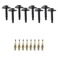 Set of 8 Ignition Coils & NGK Platinum Spark Plugs for Audi A6 Quattro S6 (2001–2005)