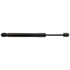 Trunk Lid Lift Supports for Sedan (Driver or Passenger Side)