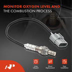 2X O2 Oxygen Sensors for Nissan Maxima (2000-2001)