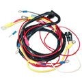 Wiring Harness for Ford (Replaces FDS376-STR)
