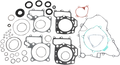 Motor Gasket Kit with Oil Seal for Kawasaki (811953mse)