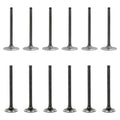 Set of 12 Intake & Exhaust Valves for Chevrolet Astro Blazer C1500 P30 (1996–2002)