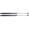 Liftgate Lift Supports Set of 2 for Chevy Olds