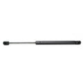Set of 2 Hood Lift Supports for Acura TL CL (2001–2003)