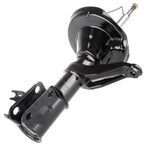 Front Pair Strut & Gas Shocks for Honda Element (2003–2006)