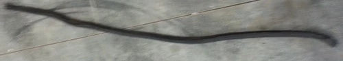 Cowl Panel Rubber Engine Molding for Ford Thunderbird (1989–1997)