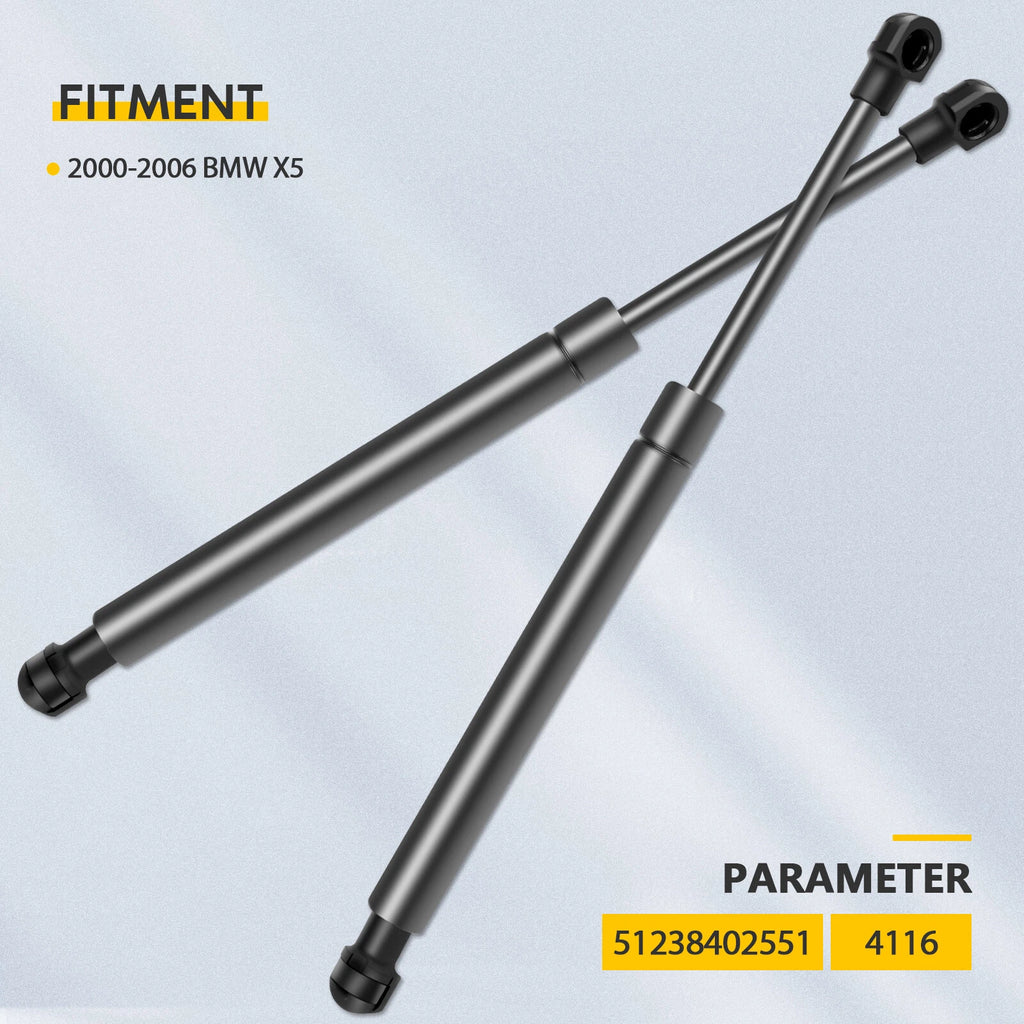 2X Hood Lift Supports for BMW X5 E53 (2000–2006)