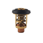 Thermostat Kit 60℃ for Yamaha 4 Stroke F4A (66M-12411-01)