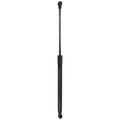 Liftgate Lift Supports for Toyota Prius (2016–2018)